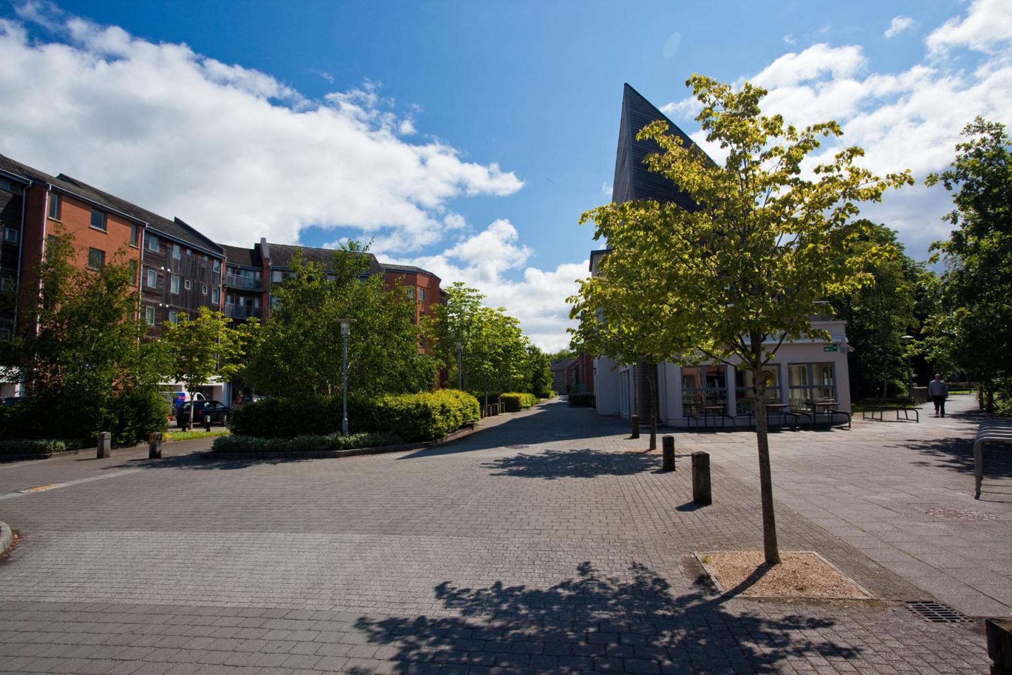 Dromroe Village University Of Limerick Junction Buitenkant foto