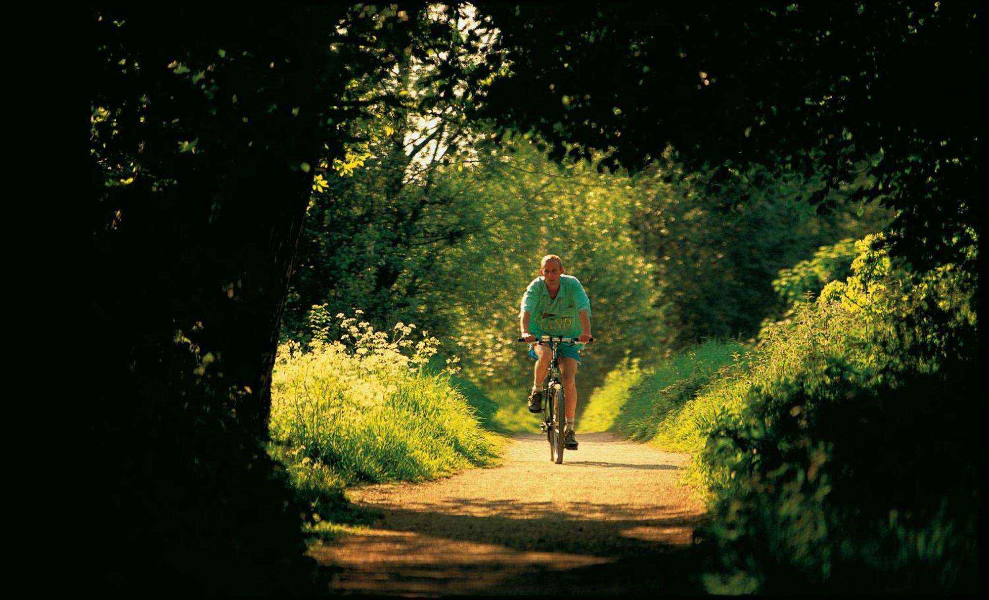 Dromroe Village University Of Limerick Junction Buitenkant foto